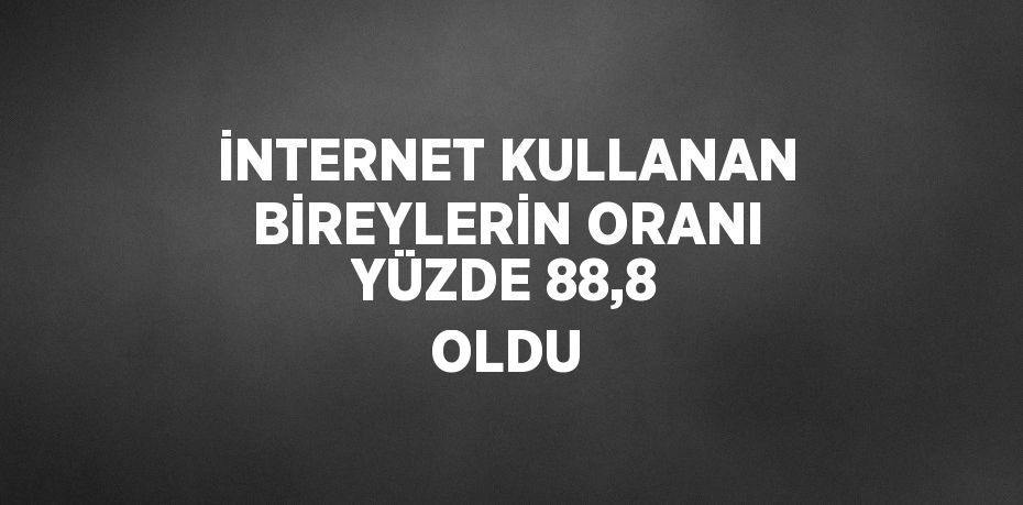 İNTERNET KULLANAN BİREYLERİN ORANI YÜZDE 88,8 OLDU