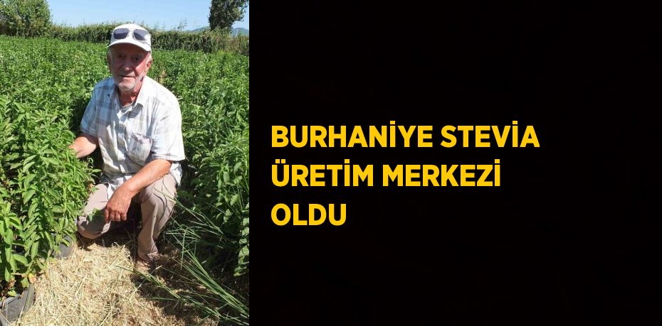 BURHANİYE STEVİA ÜRETİM MERKEZİ OLDU