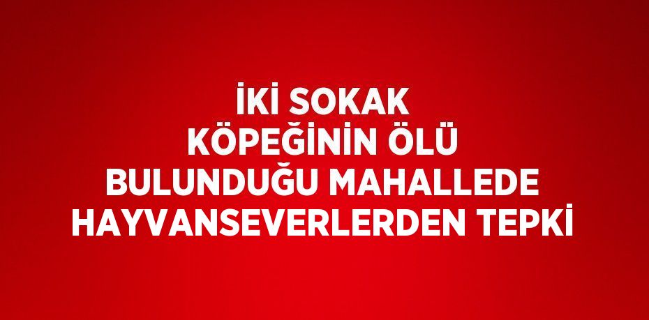 İKİ SOKAK KÖPEĞİNİN ÖLÜ BULUNDUĞU MAHALLEDE HAYVANSEVERLERDEN TEPKİ