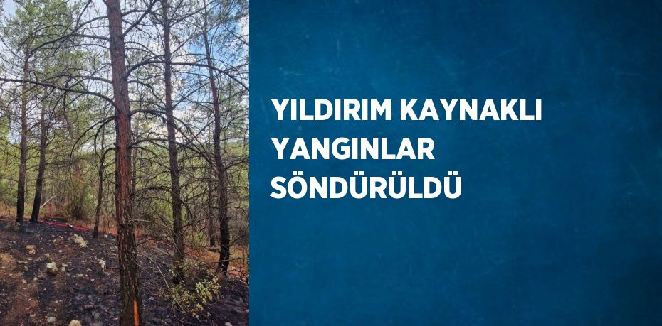 YILDIRIM KAYNAKLI YANGINLAR SÖNDÜRÜLDÜ