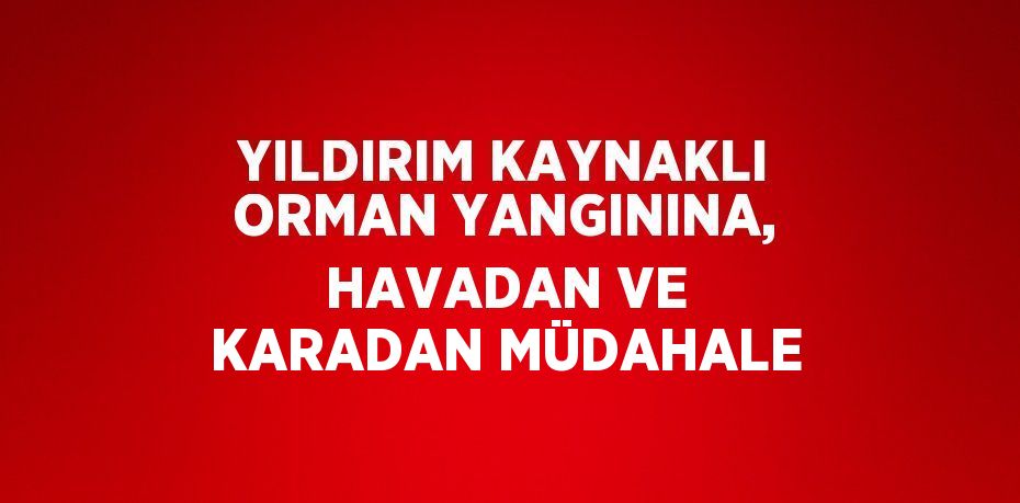 YILDIRIM KAYNAKLI ORMAN YANGININA, HAVADAN VE KARADAN MÜDAHALE