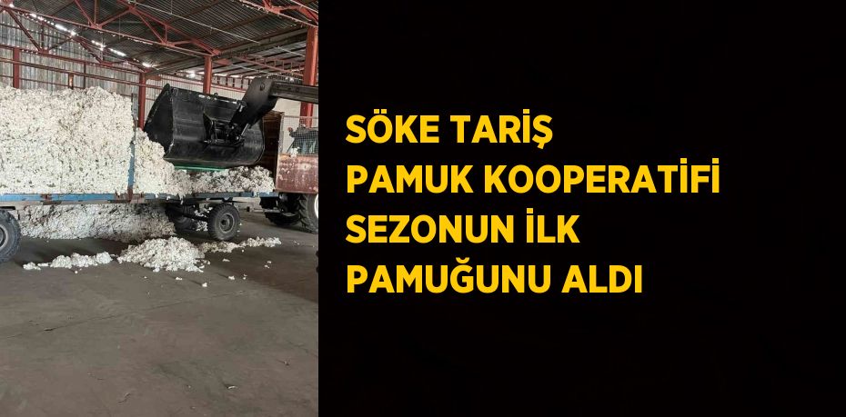 SÖKE TARİŞ PAMUK KOOPERATİFİ SEZONUN İLK PAMUĞUNU ALDI