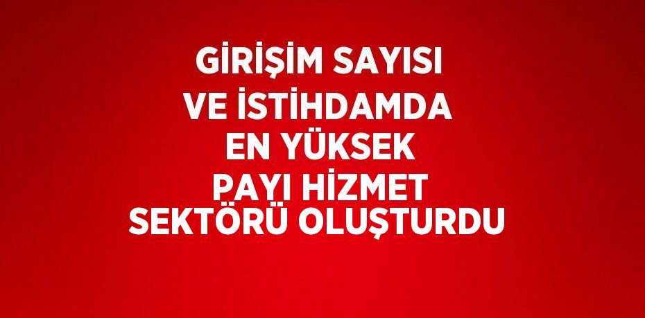 GİRİŞİM SAYISI VE İSTİHDAMDA EN YÜKSEK PAYI HİZMET SEKTÖRÜ OLUŞTURDU