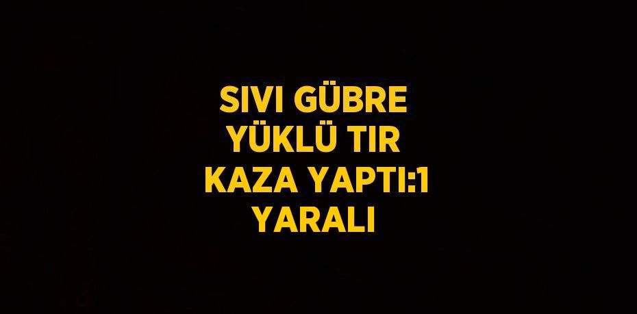 SIVI GÜBRE YÜKLÜ TIR KAZA YAPTI:1 YARALI