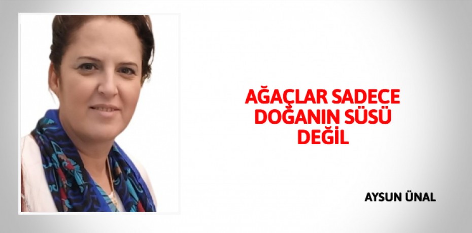 AĞAÇLAR SADECE DOĞANIN SÜSÜ DEĞİL