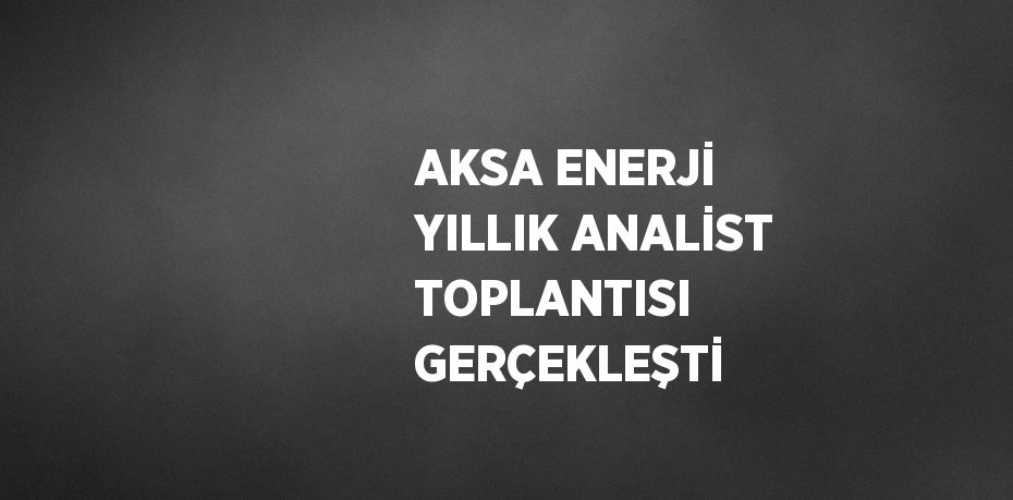 AKSA ENERJİ YILLIK ANALİST TOPLANTISI GERÇEKLEŞTİ