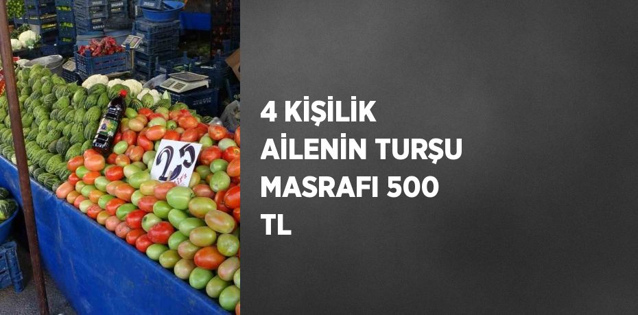 4 KİŞİLİK AİLENİN TURŞU MASRAFI 500 TL