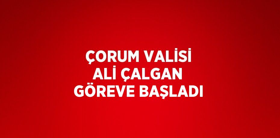 ÇORUM VALİSİ ALİ ÇALGAN GÖREVE BAŞLADI