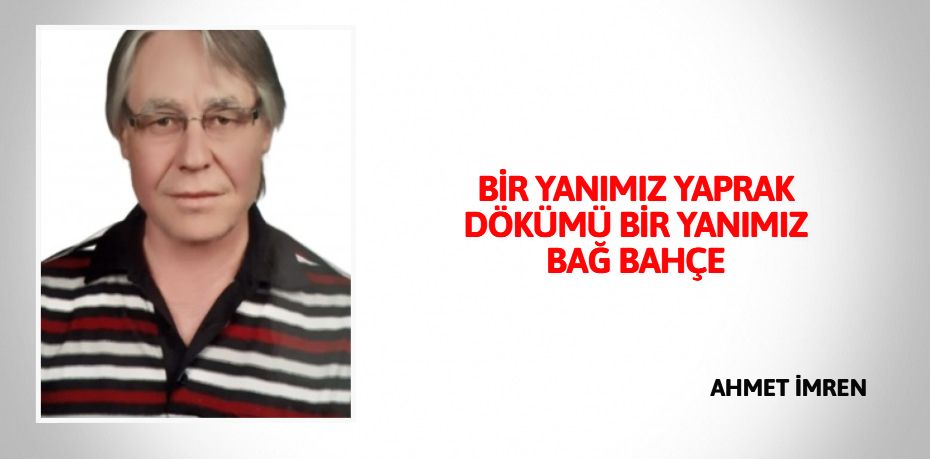 BİR YANIMIZ YAPRAK DÖKÜMÜ BİR YANIMIZ BAĞ BAHÇE