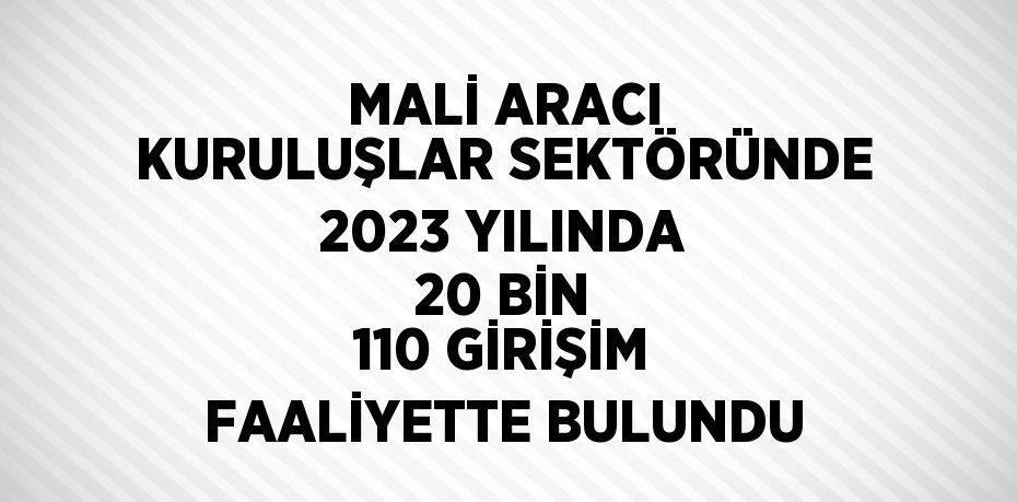 MALİ ARACI KURULUŞLAR SEKTÖRÜNDE 2023 YILINDA 20 BİN 110 GİRİŞİM FAALİYETTE BULUNDU