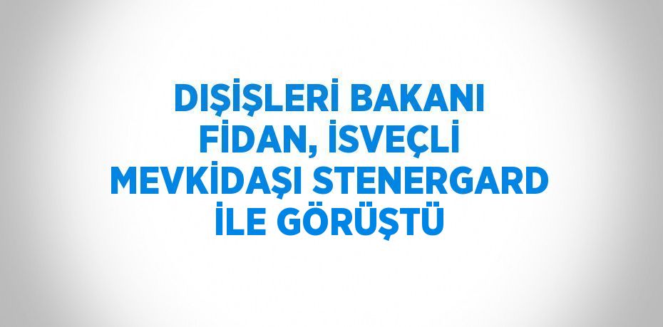 DIŞİŞLERİ BAKANI FİDAN, İSVEÇLİ MEVKİDAŞI STENERGARD İLE GÖRÜŞTÜ