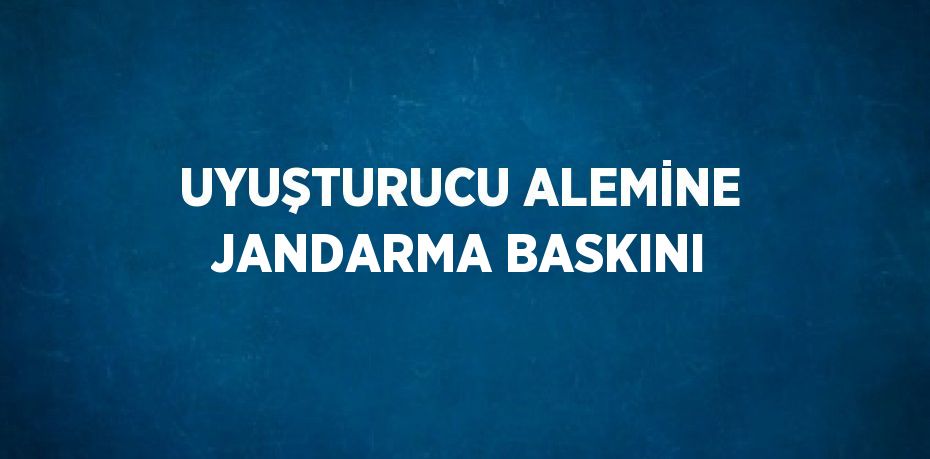 UYUŞTURUCU ALEMİNE JANDARMA BASKINI