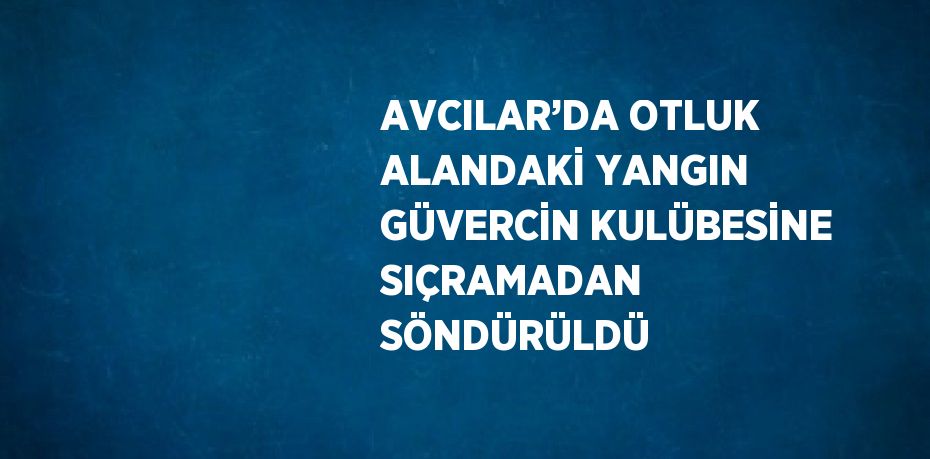 AVCILAR’DA OTLUK ALANDAKİ YANGIN GÜVERCİN KULÜBESİNE SIÇRAMADAN SÖNDÜRÜLDÜ