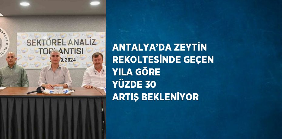 ANTALYA’DA ZEYTİN REKOLTESİNDE GEÇEN YILA GÖRE YÜZDE 30 ARTIŞ BEKLENİYOR