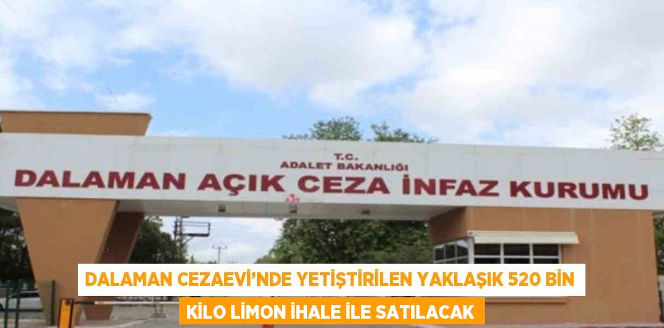 DALAMAN CEZAEVİ’NDE YETİŞTİRİLEN YAKLAŞIK 520 BİN KİLO LİMON İHALE İLE SATILACAK