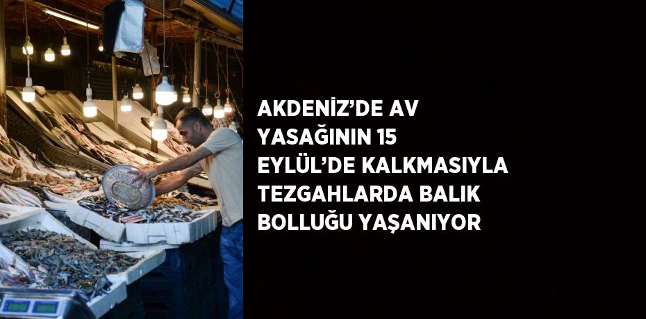 AKDENİZ’DE AV YASAĞININ 15 EYLÜL’DE KALKMASIYLA TEZGAHLARDA BALIK BOLLUĞU YAŞANIYOR