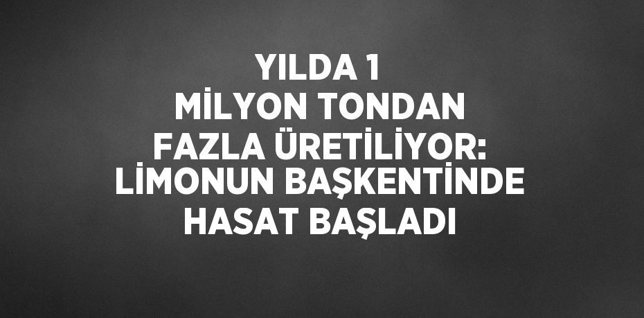 YILDA 1 MİLYON TONDAN FAZLA ÜRETİLİYOR: LİMONUN BAŞKENTİNDE HASAT BAŞLADI