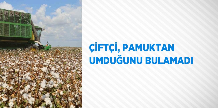 ÇİFTÇİ, PAMUKTAN UMDUĞUNU BULAMADI