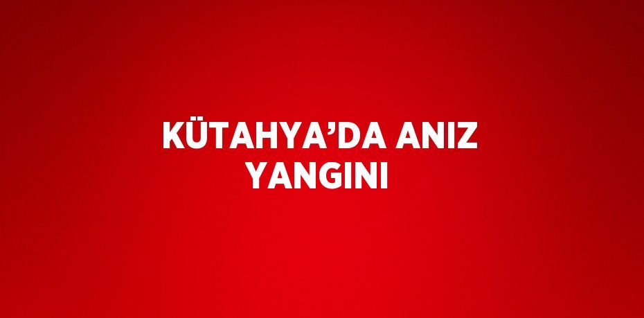 KÜTAHYA’DA ANIZ YANGINI