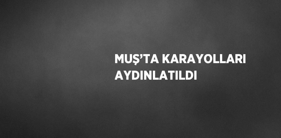 MUŞ’TA KARAYOLLARI AYDINLATILDI