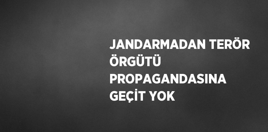 JANDARMADAN TERÖR ÖRGÜTÜ PROPAGANDASINA GEÇİT YOK