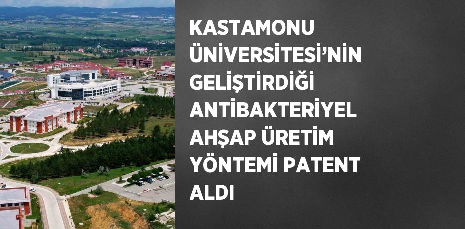 KASTAMONU ÜNİVERSİTESİ’NİN GELİŞTİRDİĞİ ANTİBAKTERİYEL AHŞAP ÜRETİM YÖNTEMİ PATENT ALDI