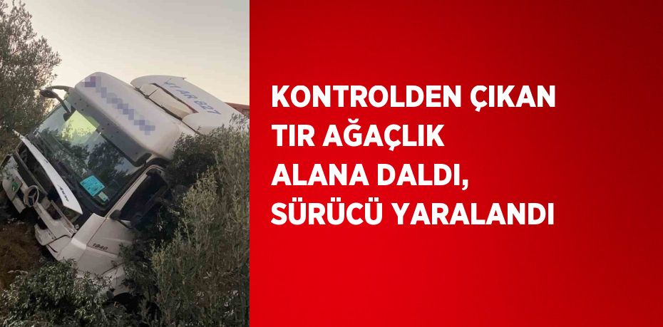 KONTROLDEN ÇIKAN TIR AĞAÇLIK ALANA DALDI, SÜRÜCÜ YARALANDI