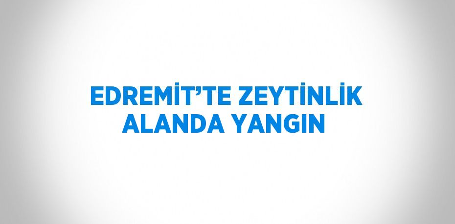 EDREMİT’TE ZEYTİNLİK ALANDA YANGIN