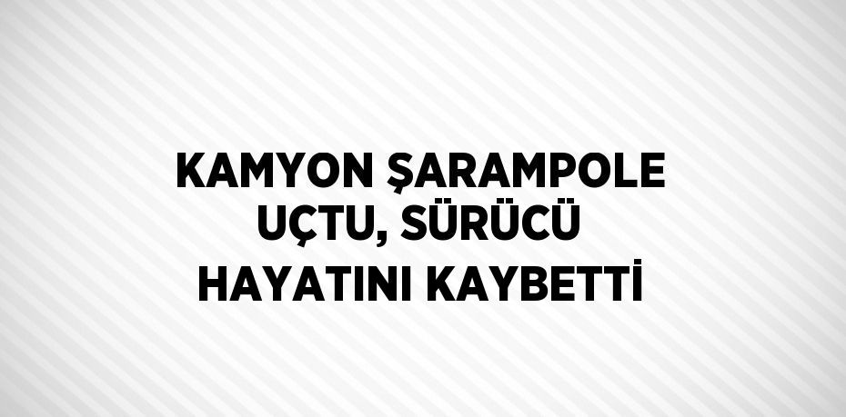 KAMYON ŞARAMPOLE UÇTU, SÜRÜCÜ HAYATINI KAYBETTİ