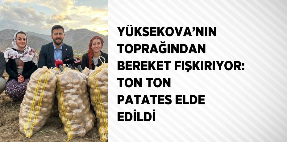 YÜKSEKOVA’NIN TOPRAĞINDAN BEREKET FIŞKIRIYOR: TON TON PATATES ELDE EDİLDİ