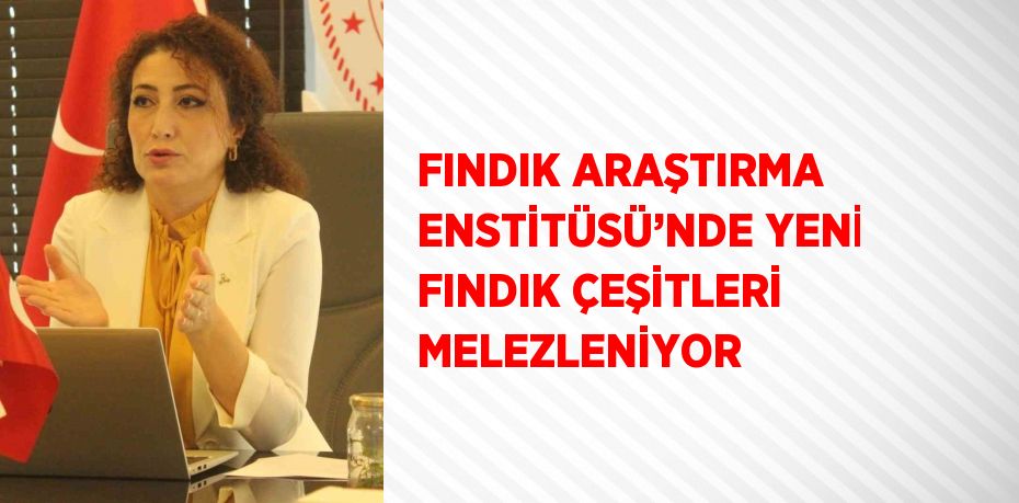 FINDIK ARAŞTIRMA ENSTİTÜSÜ’NDE YENİ FINDIK ÇEŞİTLERİ MELEZLENİYOR