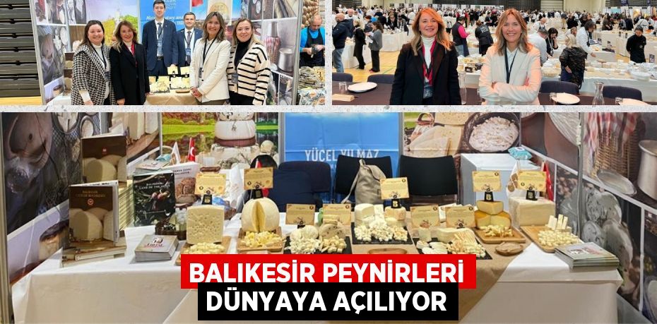 BALIKESİR PEYNİRLERİ DÜNYAYA AÇILIYOR