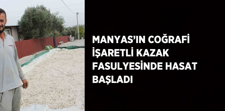 MANYAS’IN COĞRAFİ İŞARETLİ KAZAK FASULYESİNDE HASAT BAŞLADI