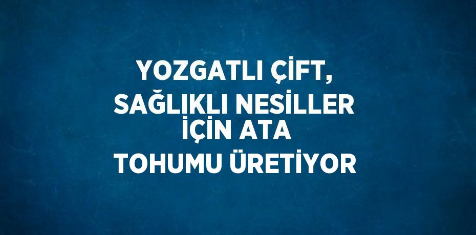 YOZGATLI ÇİFT, SAĞLIKLI NESİLLER İÇİN ATA TOHUMU ÜRETİYOR