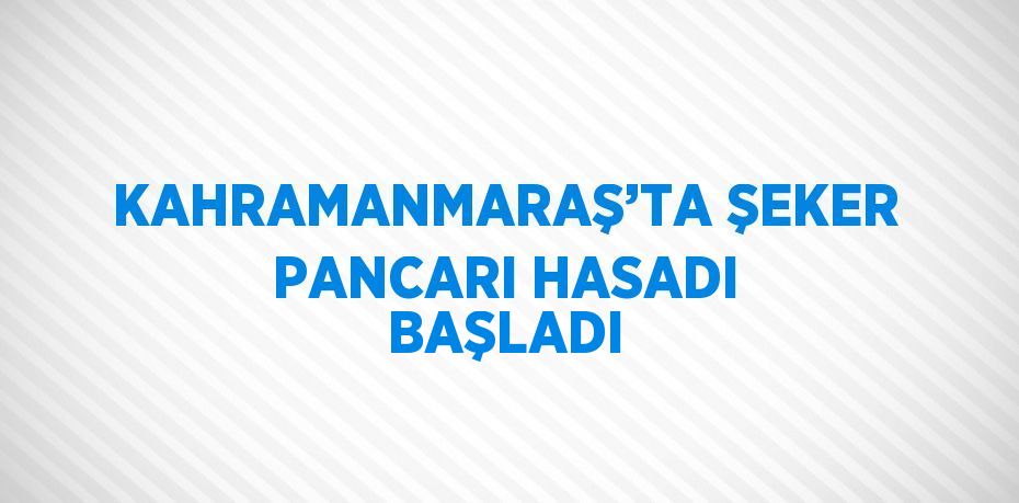 KAHRAMANMARAŞ’TA ŞEKER PANCARI HASADI BAŞLADI