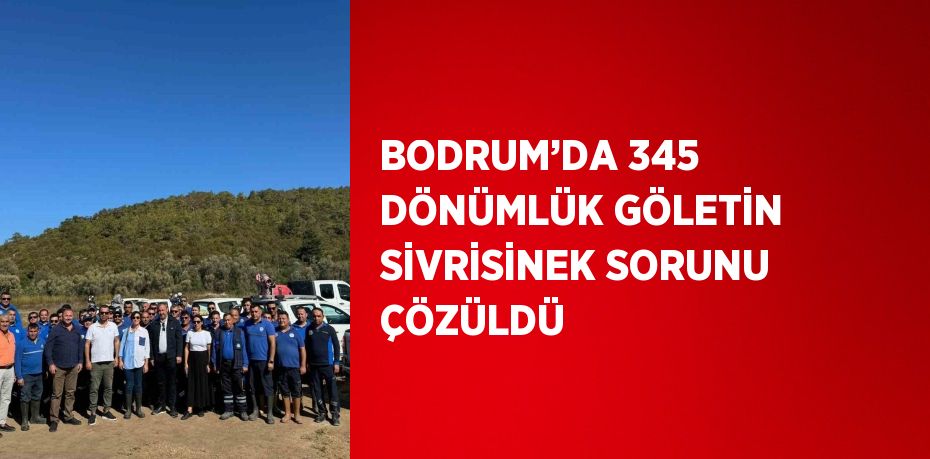 BODRUM’DA 345 DÖNÜMLÜK GÖLETİN SİVRİSİNEK SORUNU ÇÖZÜLDÜ