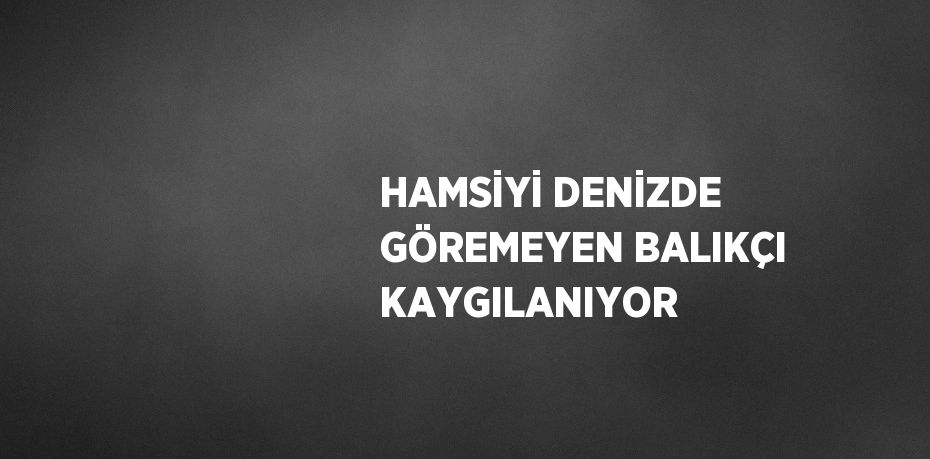 HAMSİYİ DENİZDE GÖREMEYEN BALIKÇI KAYGILANIYOR