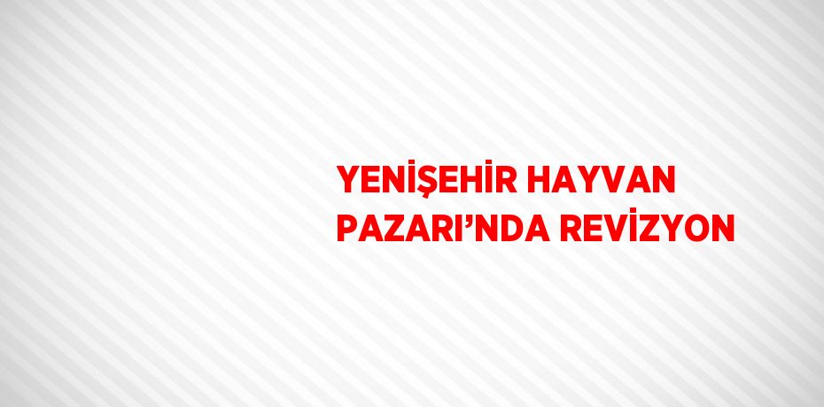 YENİŞEHİR HAYVAN PAZARI’NDA REVİZYON