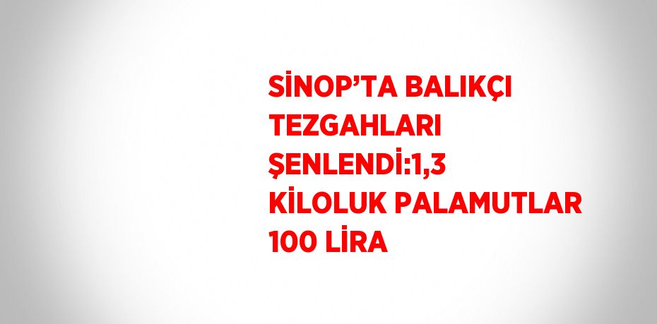 SİNOP’TA BALIKÇI TEZGAHLARI ŞENLENDİ:1,3 KİLOLUK PALAMUTLAR 100 LİRA