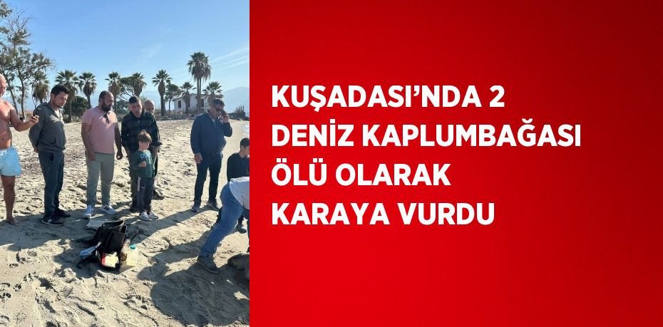 KUŞADASI’NDA 2 DENİZ KAPLUMBAĞASI ÖLÜ OLARAK KARAYA VURDU