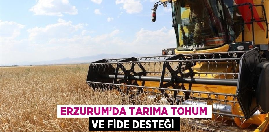 ERZURUM’DA TARIMA TOHUM VE FİDE DESTEĞİ