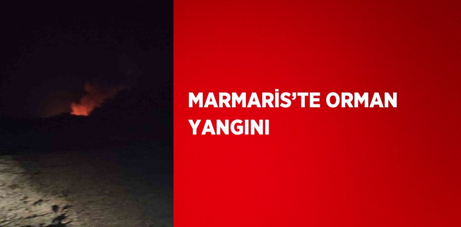 MARMARİS’TE ORMAN YANGINI