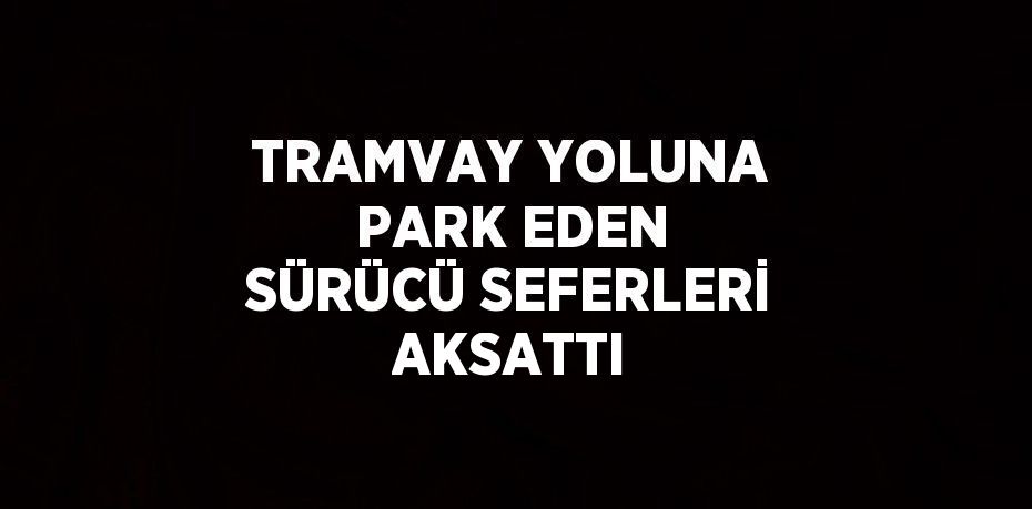 TRAMVAY YOLUNA PARK EDEN SÜRÜCÜ SEFERLERİ AKSATTI