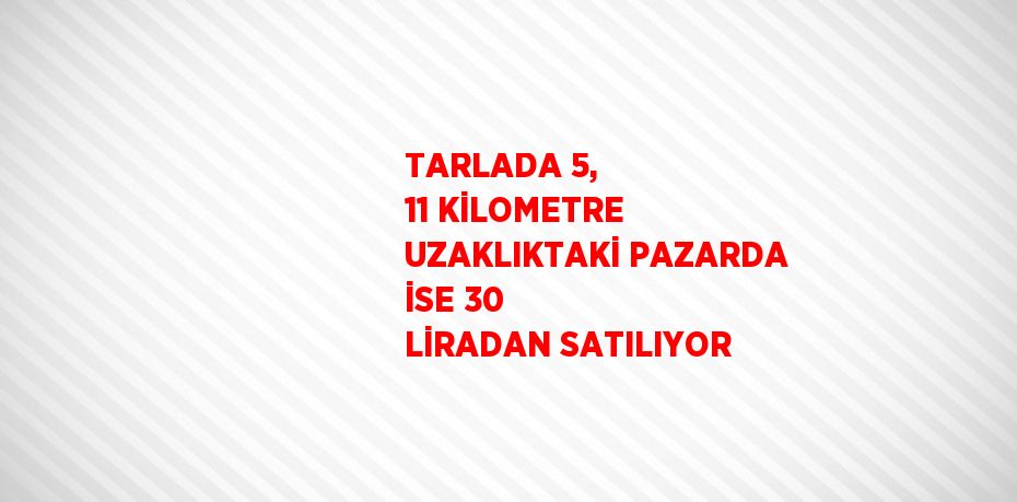 TARLADA 5, 11 KİLOMETRE UZAKLIKTAKİ PAZARDA İSE 30 LİRADAN SATILIYOR