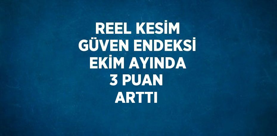 REEL KESİM GÜVEN ENDEKSİ EKİM AYINDA 3 PUAN ARTTI