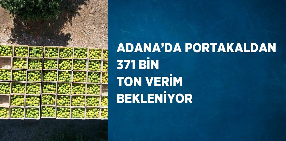 ADANA’DA PORTAKALDAN 371 BİN TON VERİM BEKLENİYOR