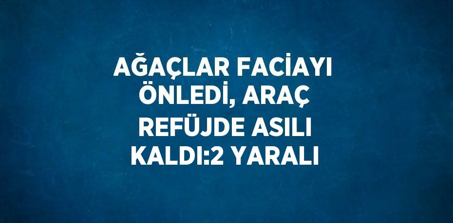 AĞAÇLAR FACİAYI ÖNLEDİ, ARAÇ REFÜJDE ASILI KALDI:2 YARALI