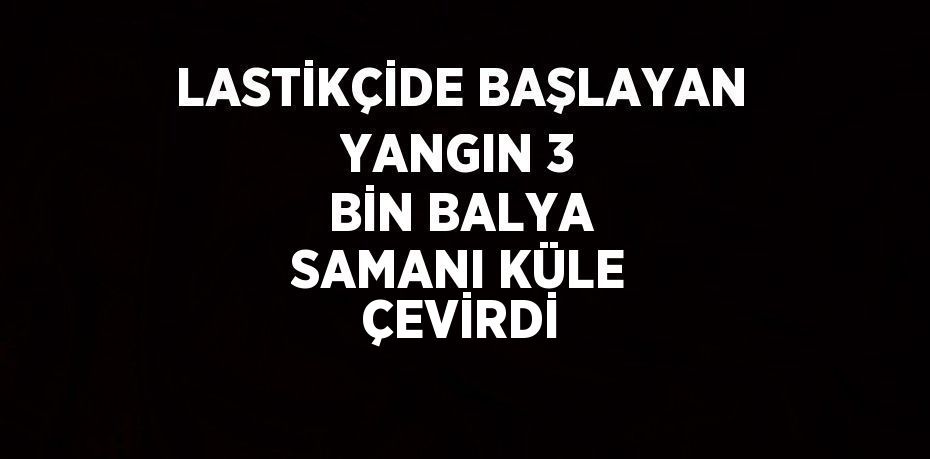 LASTİKÇİDE BAŞLAYAN YANGIN 3 BİN BALYA SAMANI KÜLE ÇEVİRDİ