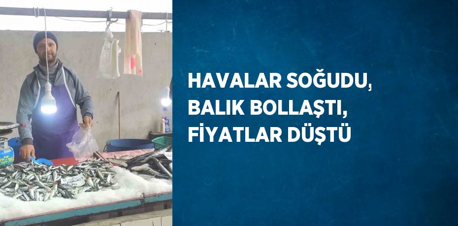 HAVALAR SOĞUDU, BALIK BOLLAŞTI, FİYATLAR DÜŞTÜ