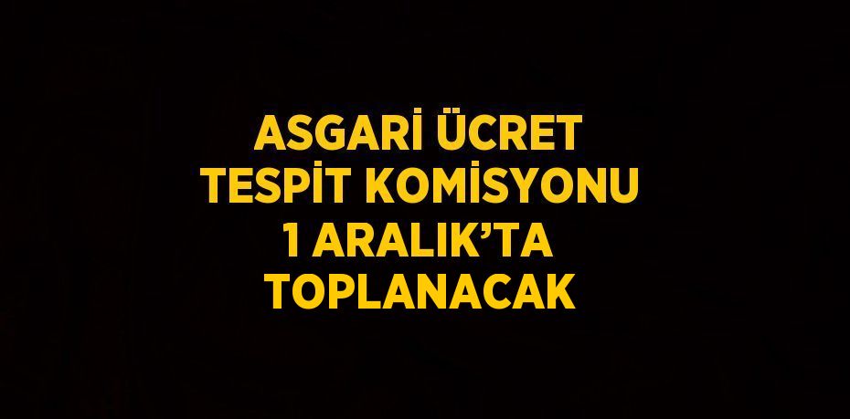 ASGARİ ÜCRET TESPİT KOMİSYONU 1 ARALIK’TA TOPLANACAK